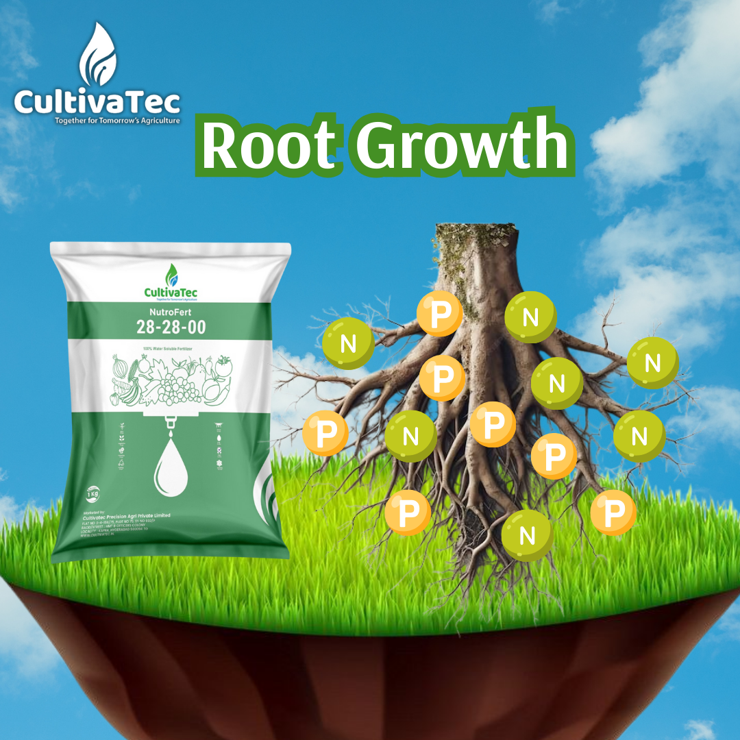 Nutrofert NPK 28:28:00