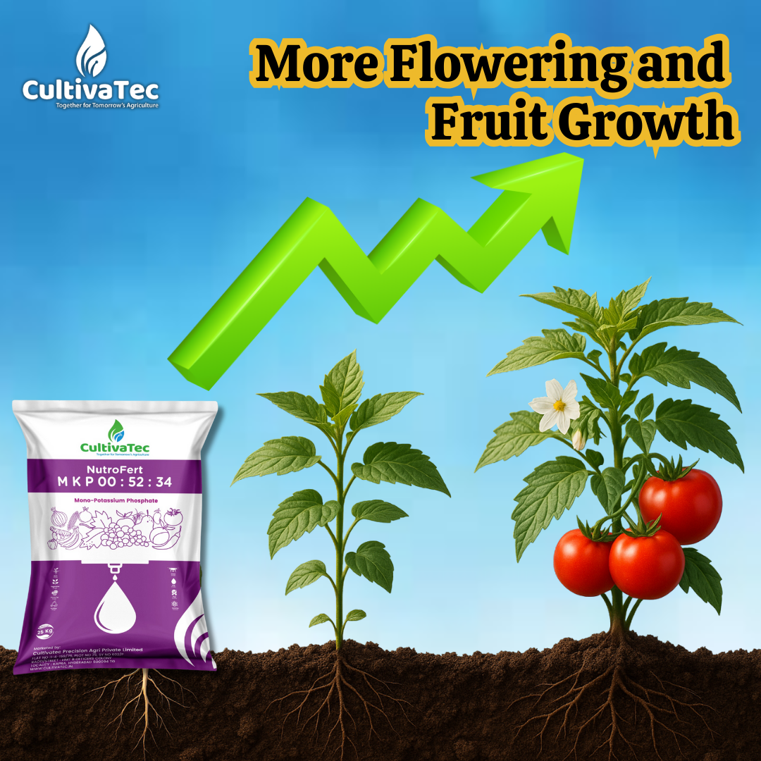 Nutrofert MKP 00:52:34