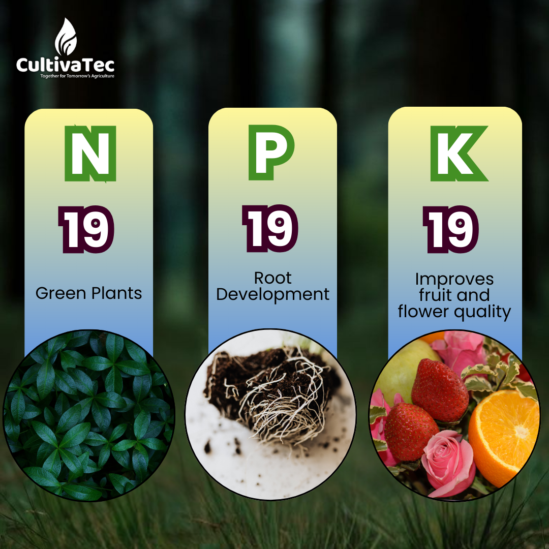 Nutrofert NPK 19:19:19