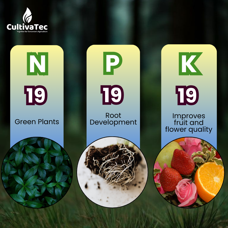 Nutrofert NPK 19:19:19