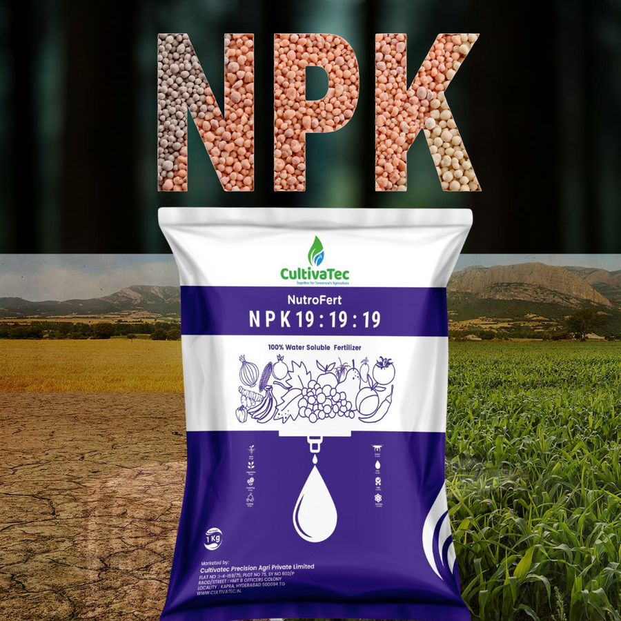 Nutrofert NPK 19:19:19