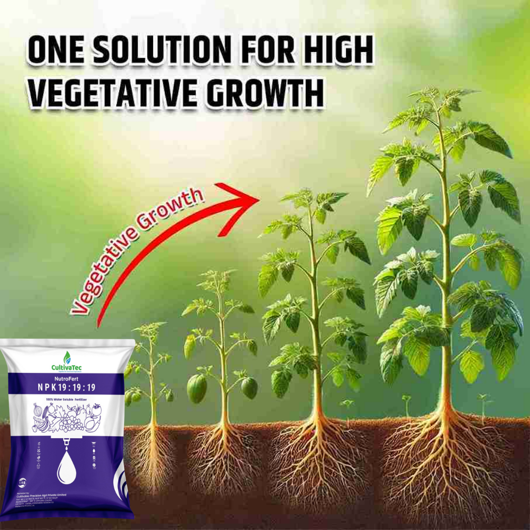 Nutrofert NPK 19:19:19