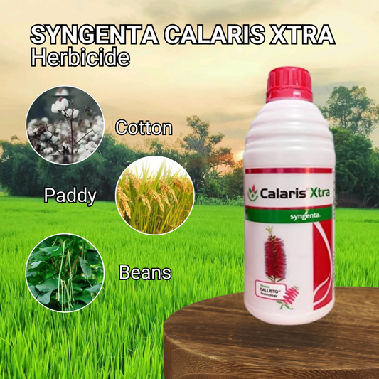 Syngenta Calaris Xtra