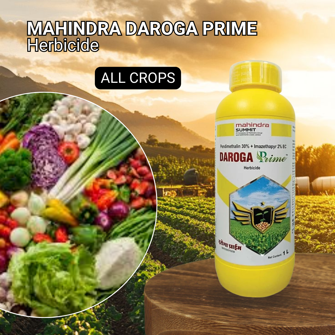 Daroga Prime