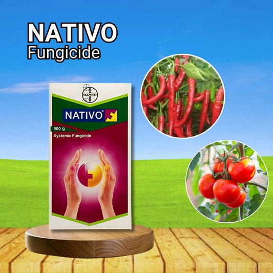 Fungicide (6)
