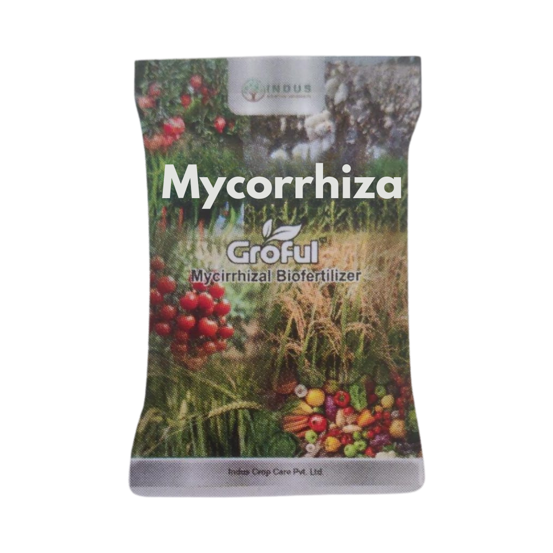 Mycorrhizal Biofertilizer