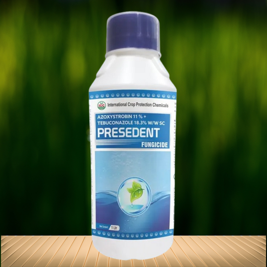 Presedent