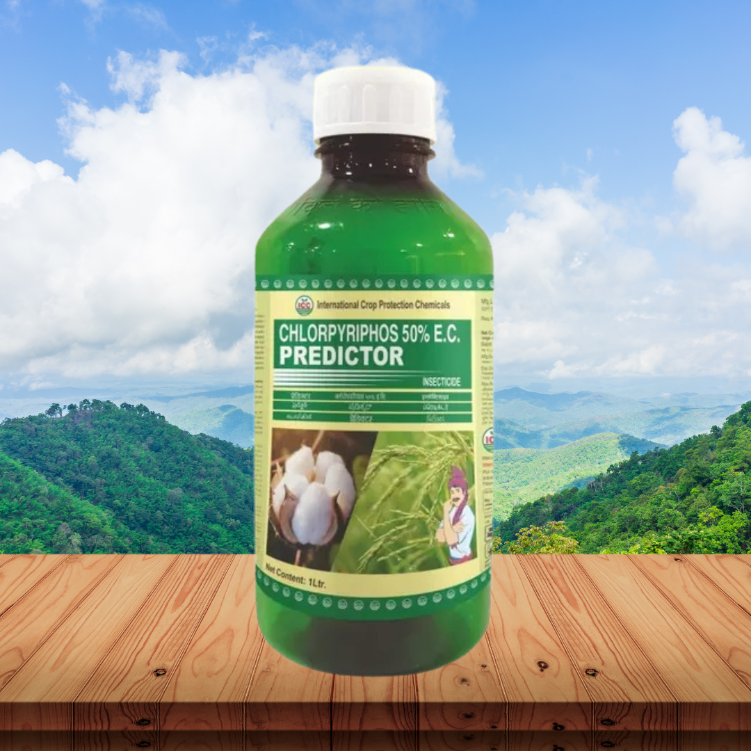 Predictor Chloripyrphos 50% EC