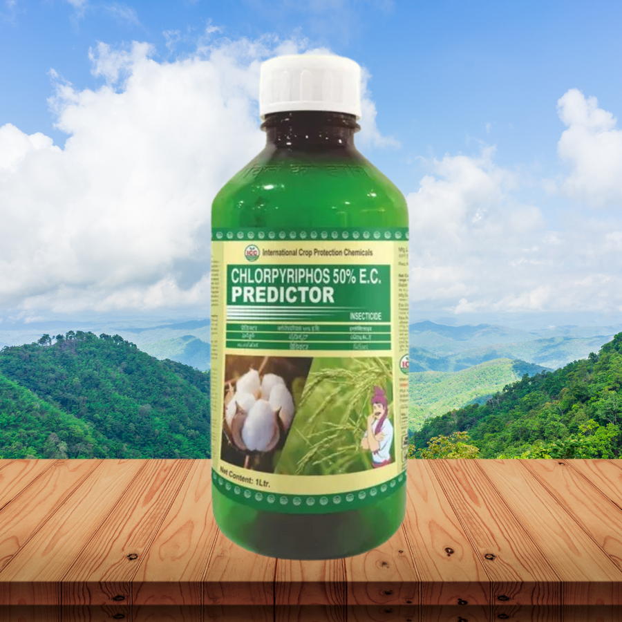 Predictor Chloripyrphos 50% EC
