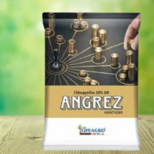 Angrez