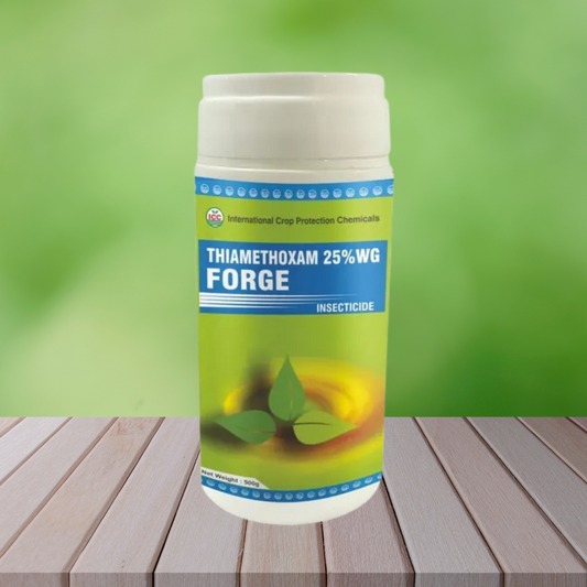 Forge
