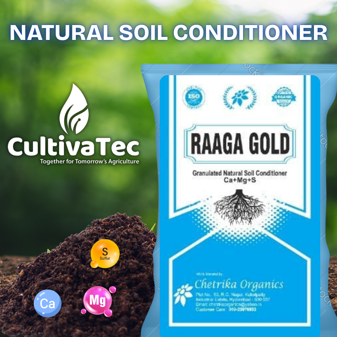 Raaga Gold