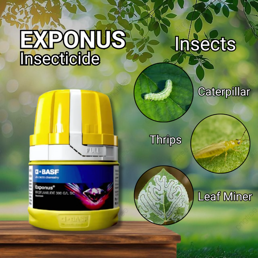 exponus Insecticide (1)