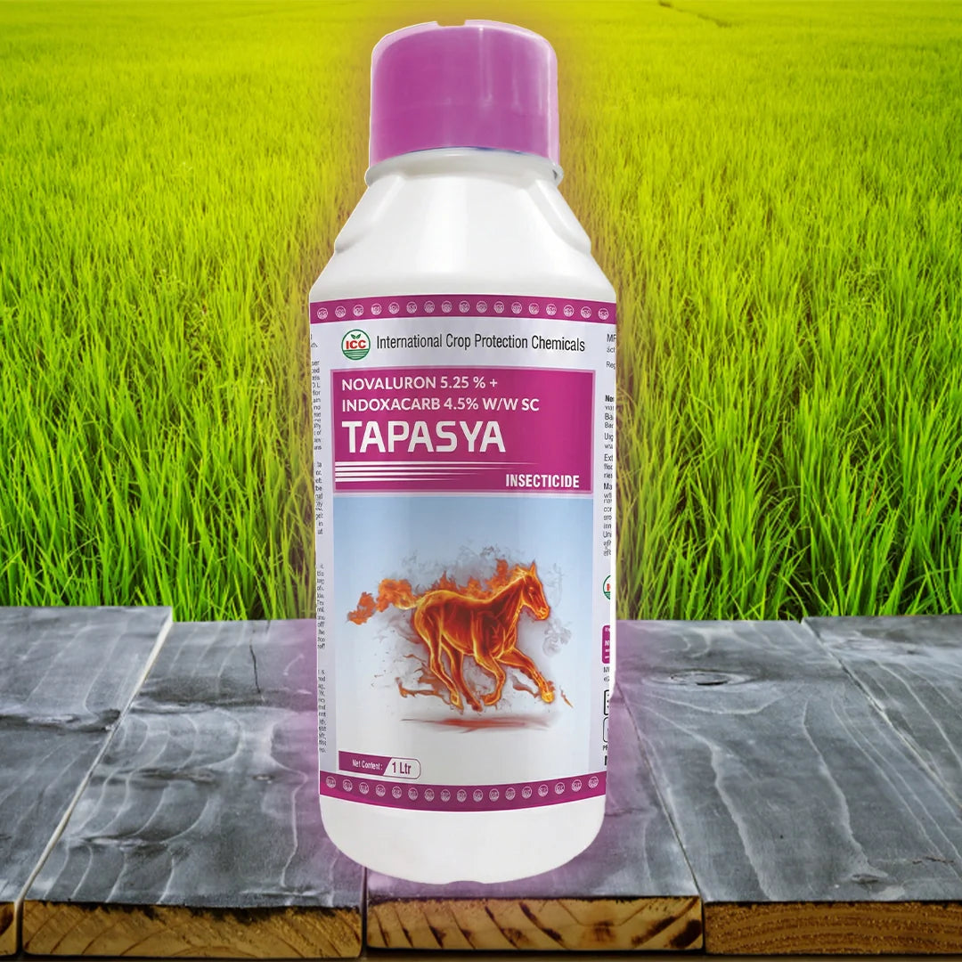 Tapasya