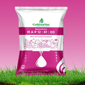 MAP 12:61:00