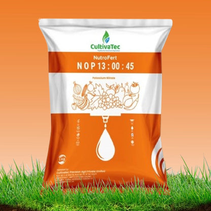 NOP 13:00:45