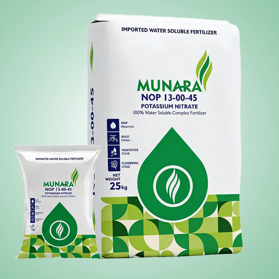 Munara - NOP 13:00:45