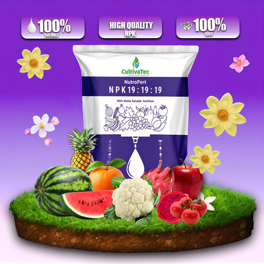Nutrofert NPK 19:19:19