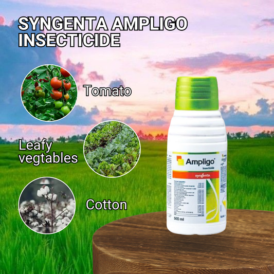 Ampligo Insecticide