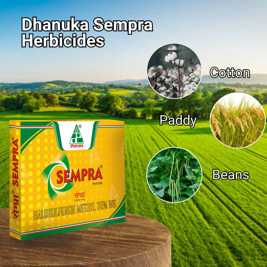 Dhanuka Sempra