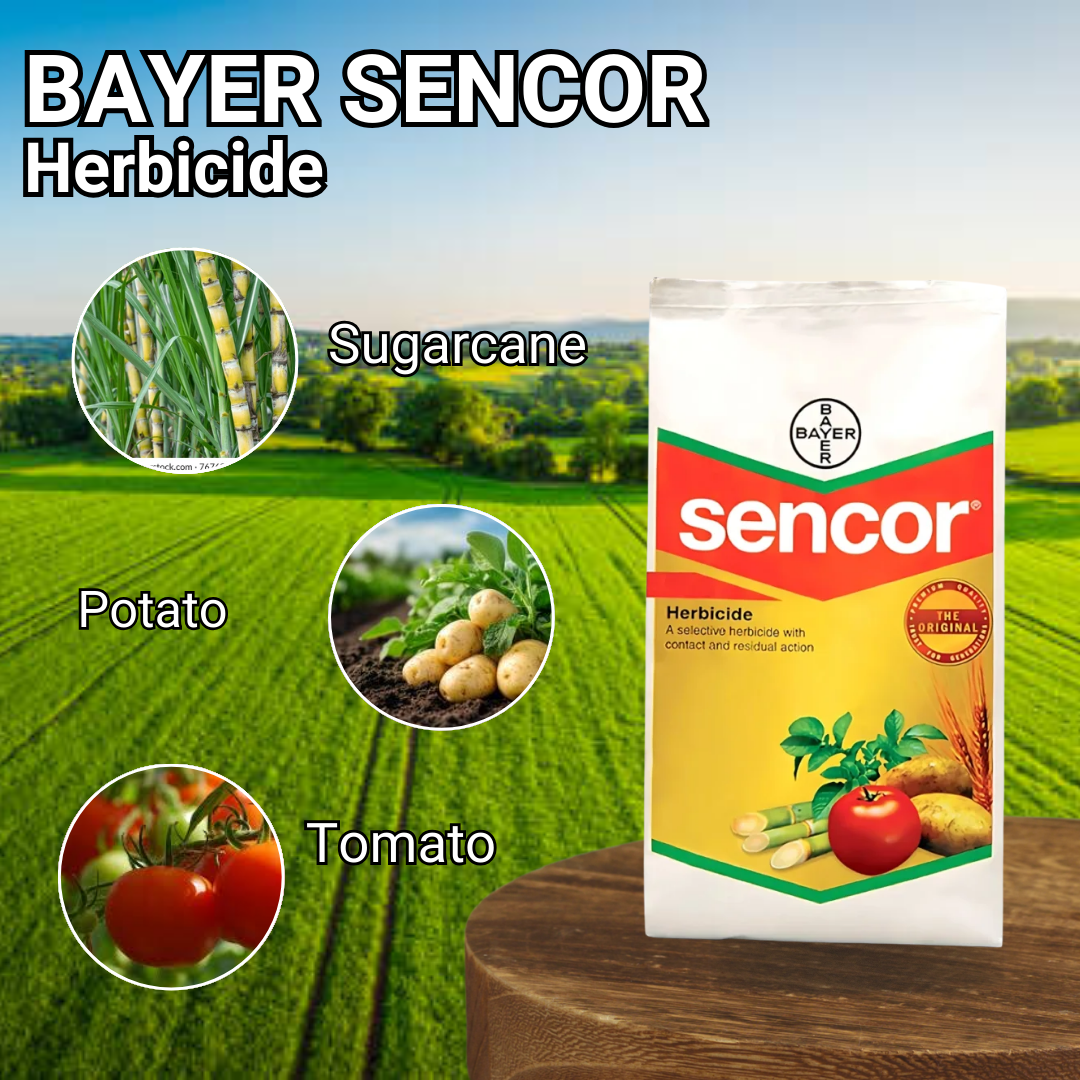 bayer sencor	Metribuzin 70% WP