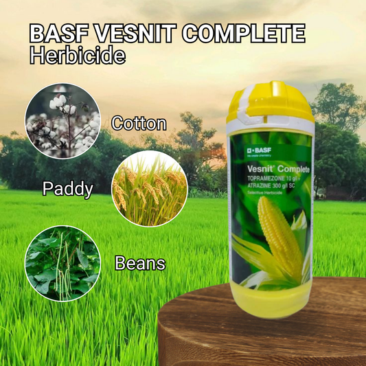 Vesnit Complete