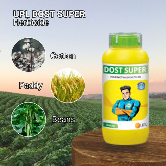 Dost Super
