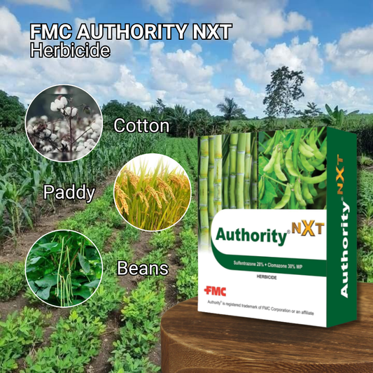 FMC Authority NXT