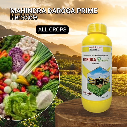 Daroga Prime