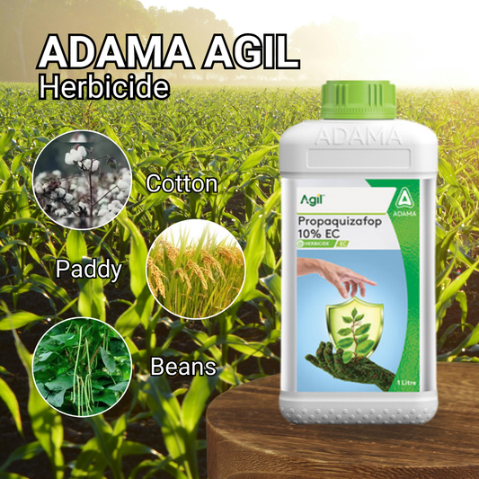 Adama Agil