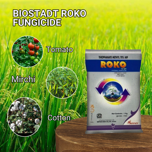 Biostadt Roko