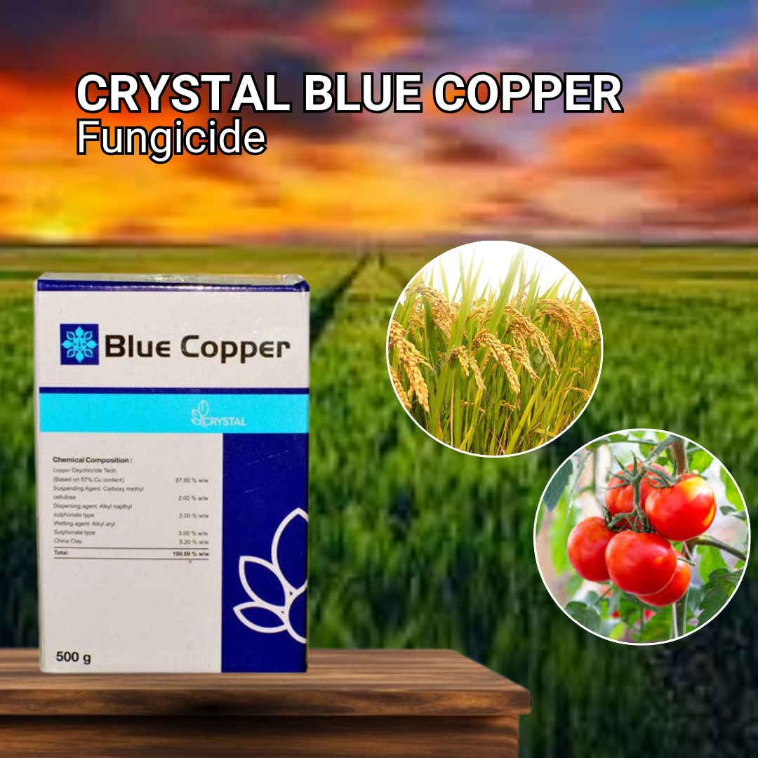 Crystal Blue Copper