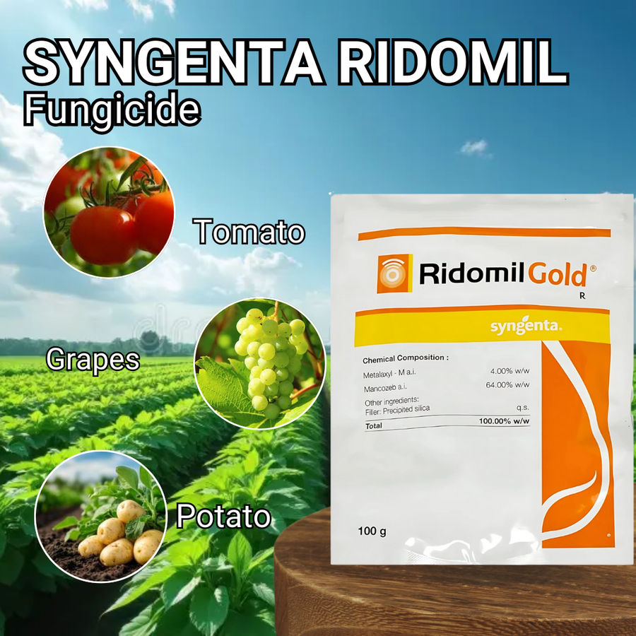 Syngenta Ridomil Metalaxyl M 4% + Mancozeb 64% WP