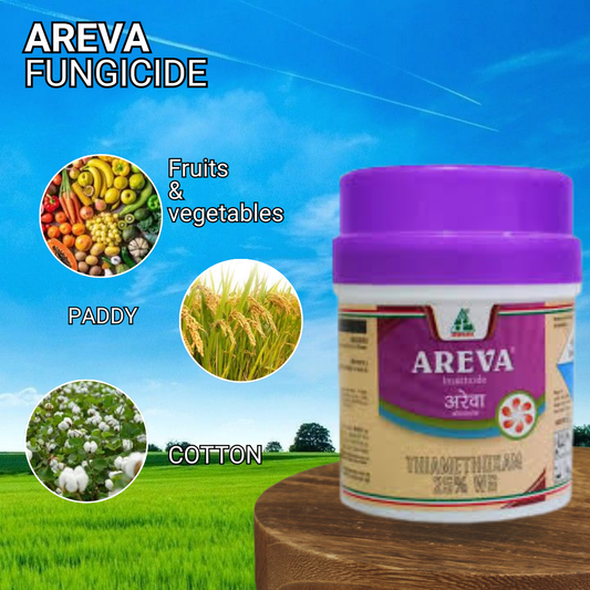 Dhanuka Areva