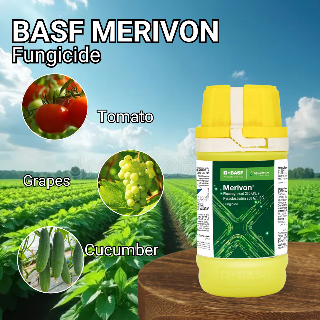 BASF Merivon Fluxapyroxad 21.26% + Pyraclostrobin 21.26% SC
