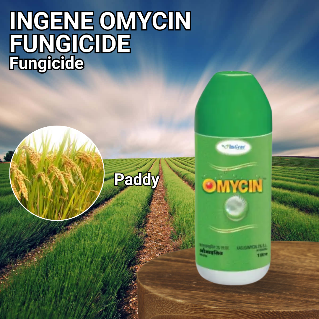 Ingene Omycin Fungicide Kasugamycin 3% SL