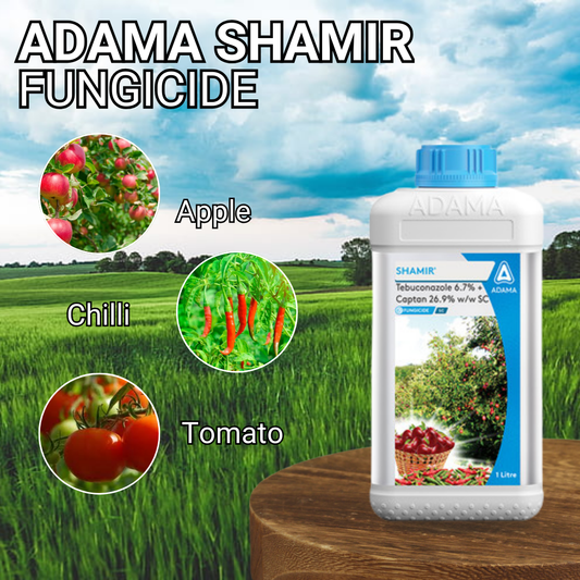 Adama Shamir