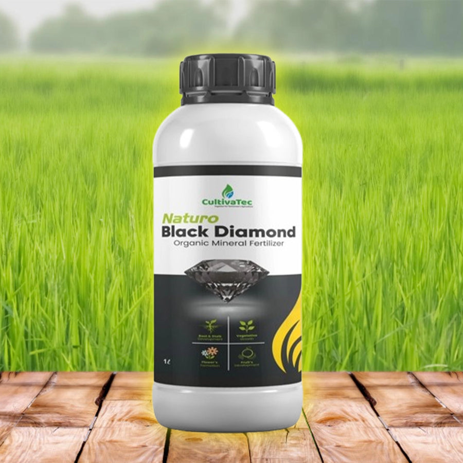 Black Diamond