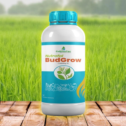 Budgrow