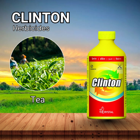 Clinton Herbicides