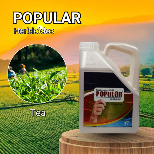Popular Herbicide