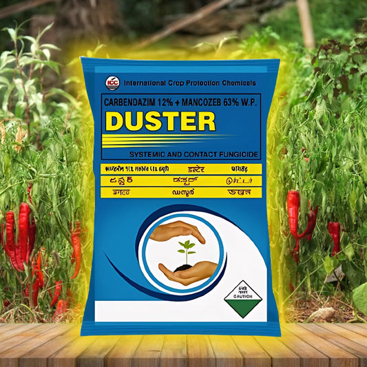 Duster