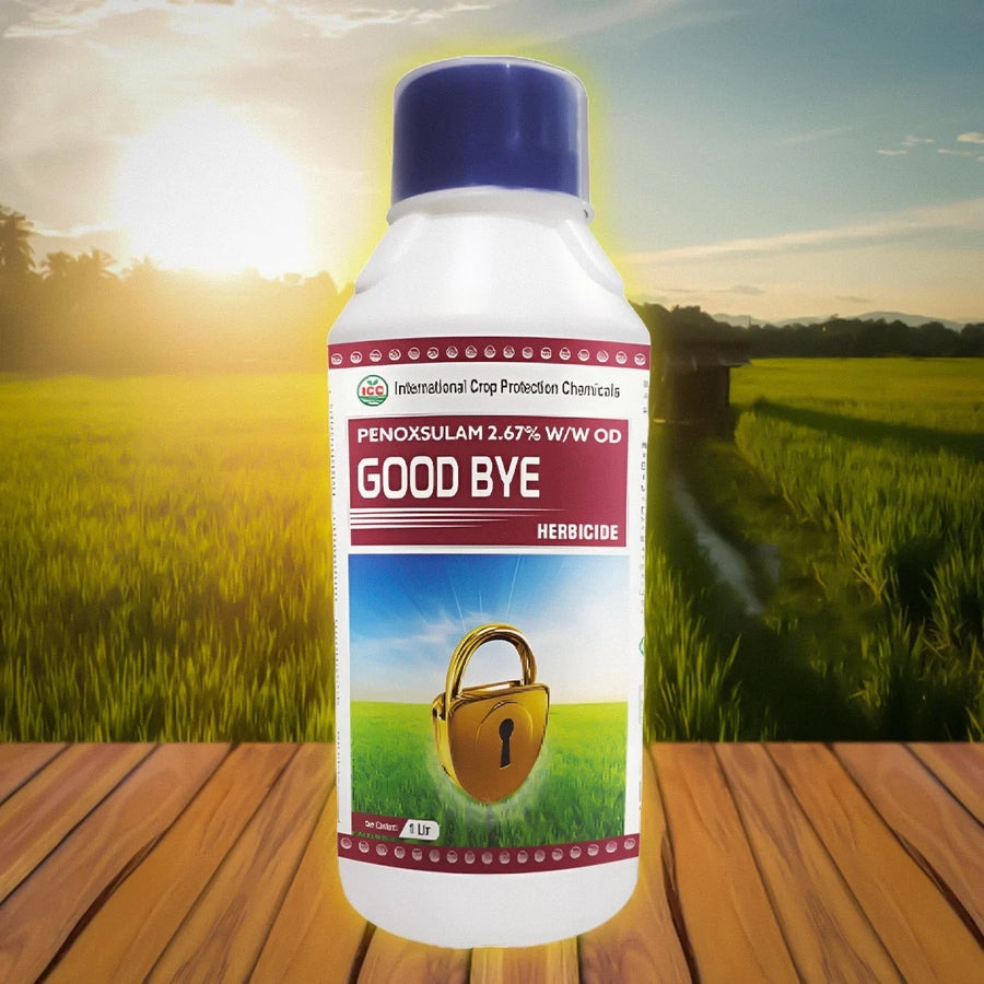 Good Bye