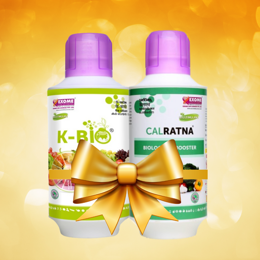 K-Bio + Calratna