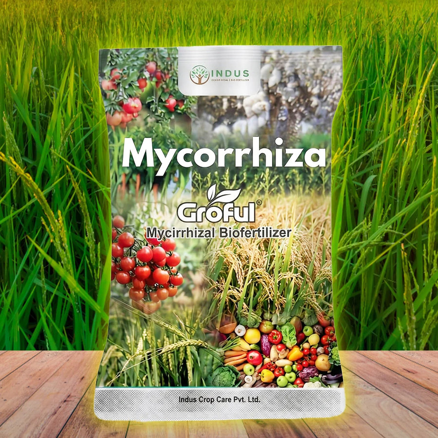 Mycorrhizal Biofertilizer