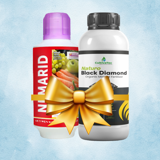 Nemarid + Black Diamond
