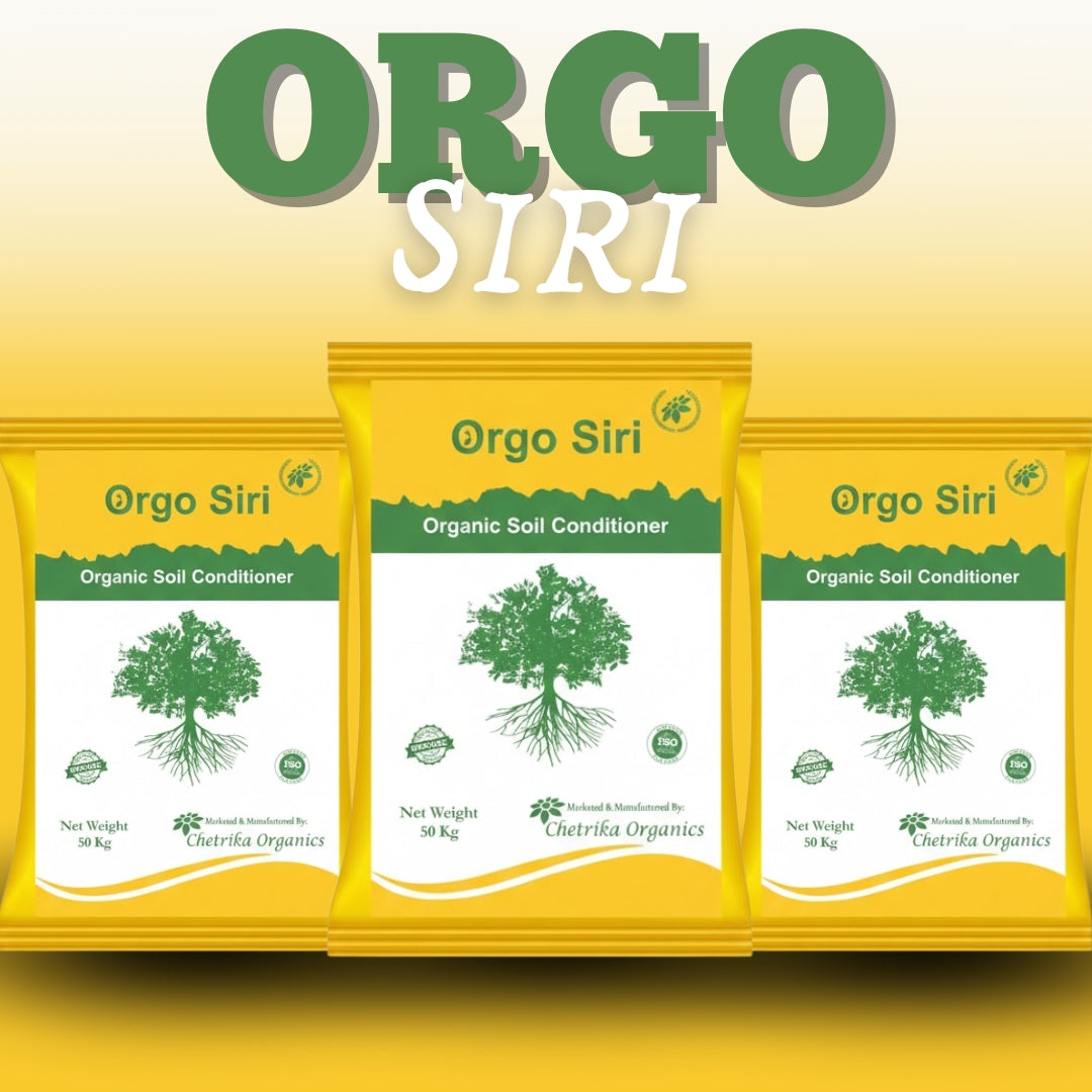 Orgo Siri
