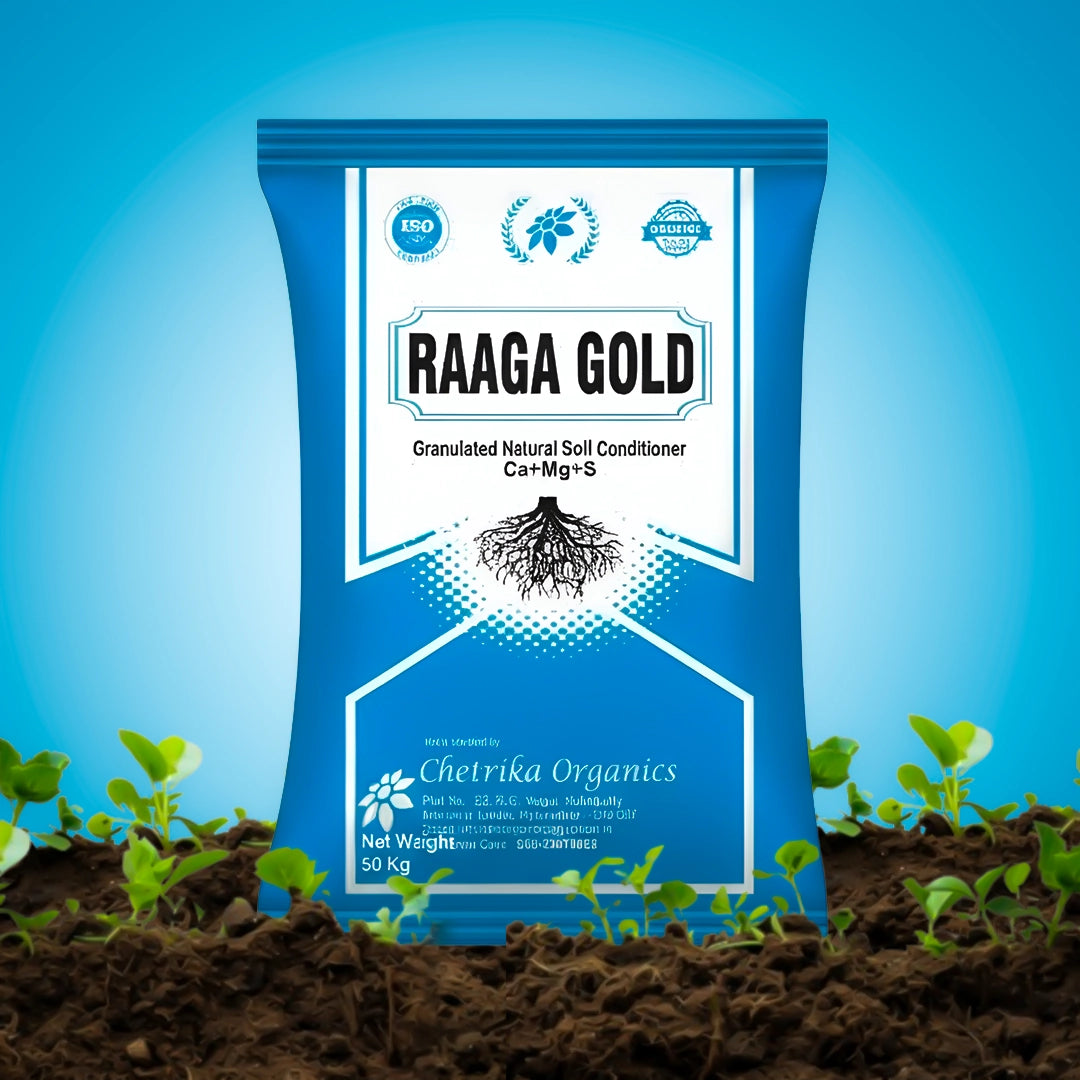 Raaga Gold