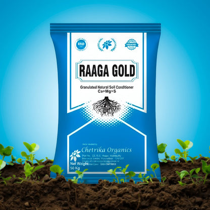 Raaga Gold