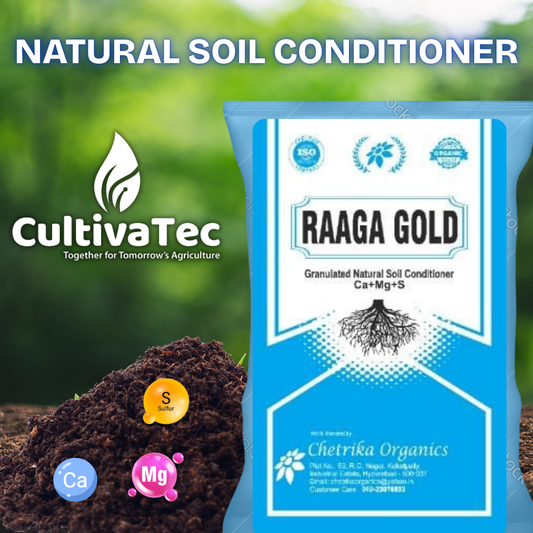 Raaga Gold